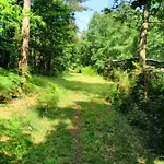 Bois De St Hilaire * Chalandray