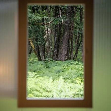 キャンプ場 Bois De St Hilaire Chalandray