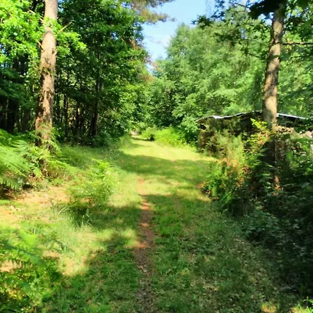Bois De St Hilaire * Chalandray