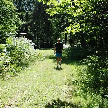 Bois De St Hilaire Chalandray