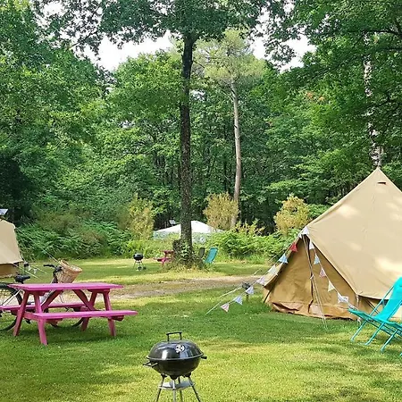 Bois De St Hilaire Chalandray